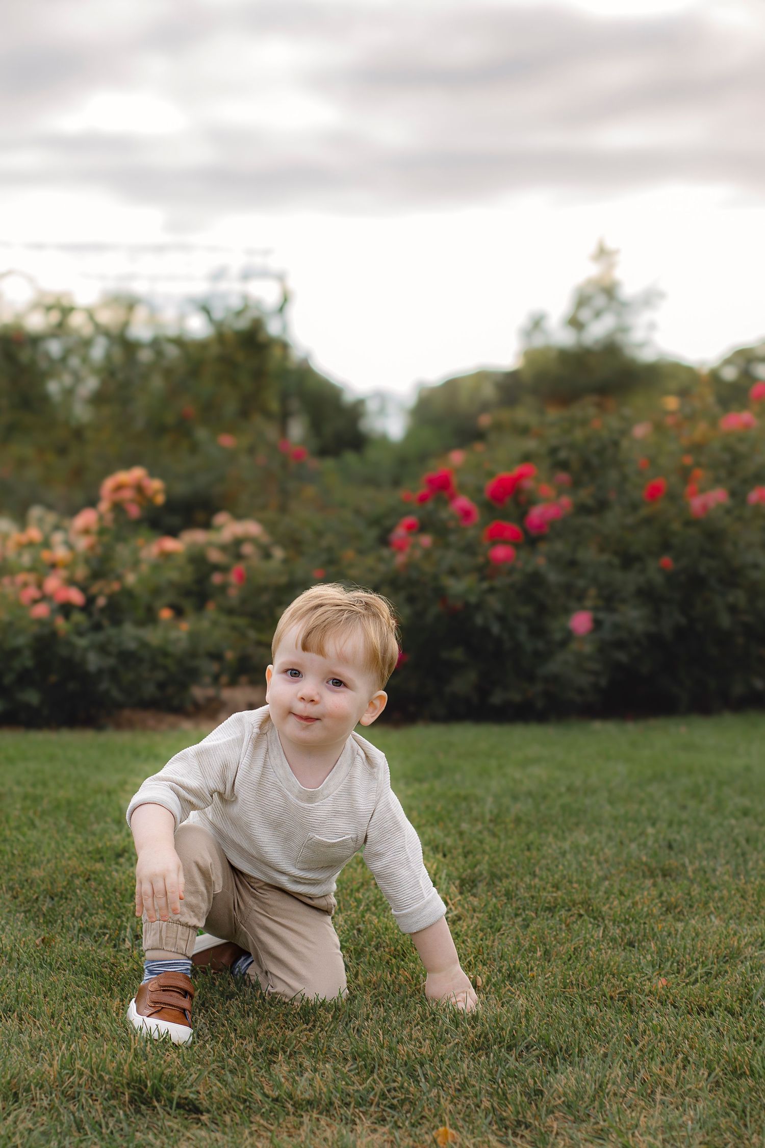 Small child crawling on green grass near blooming rose bushes.