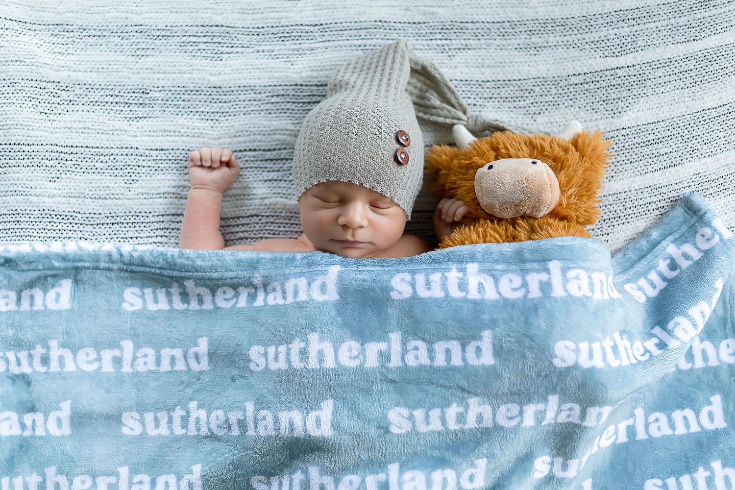 A series of similar photos arranged in a horizontal strip showing a baby with a teddy bear against a blue background.