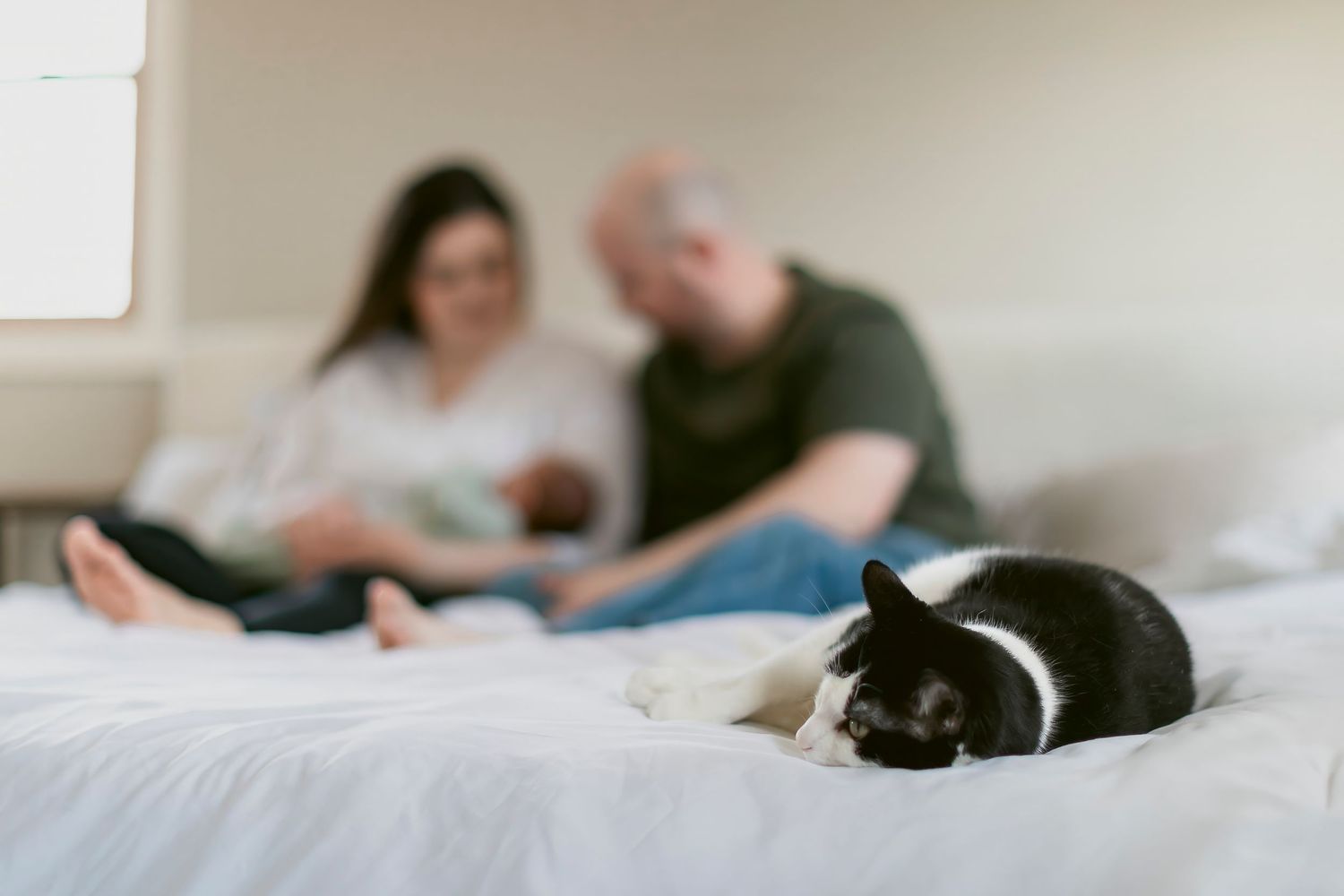 Black and white cat resting on a white bed with a blurred family holding a newborn baby in the background.