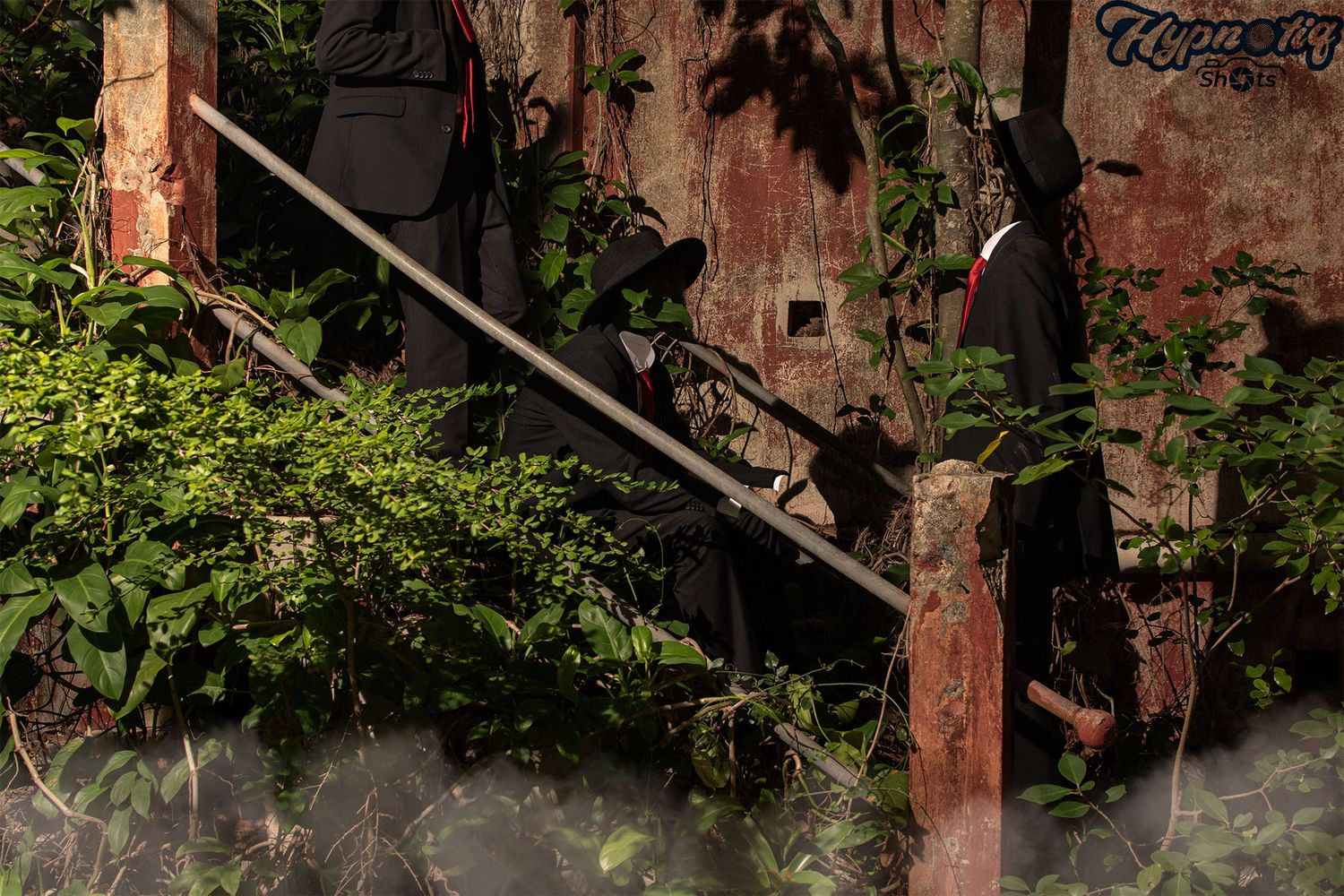 Overgrown brick wall with vines and foliage in natural lighting.