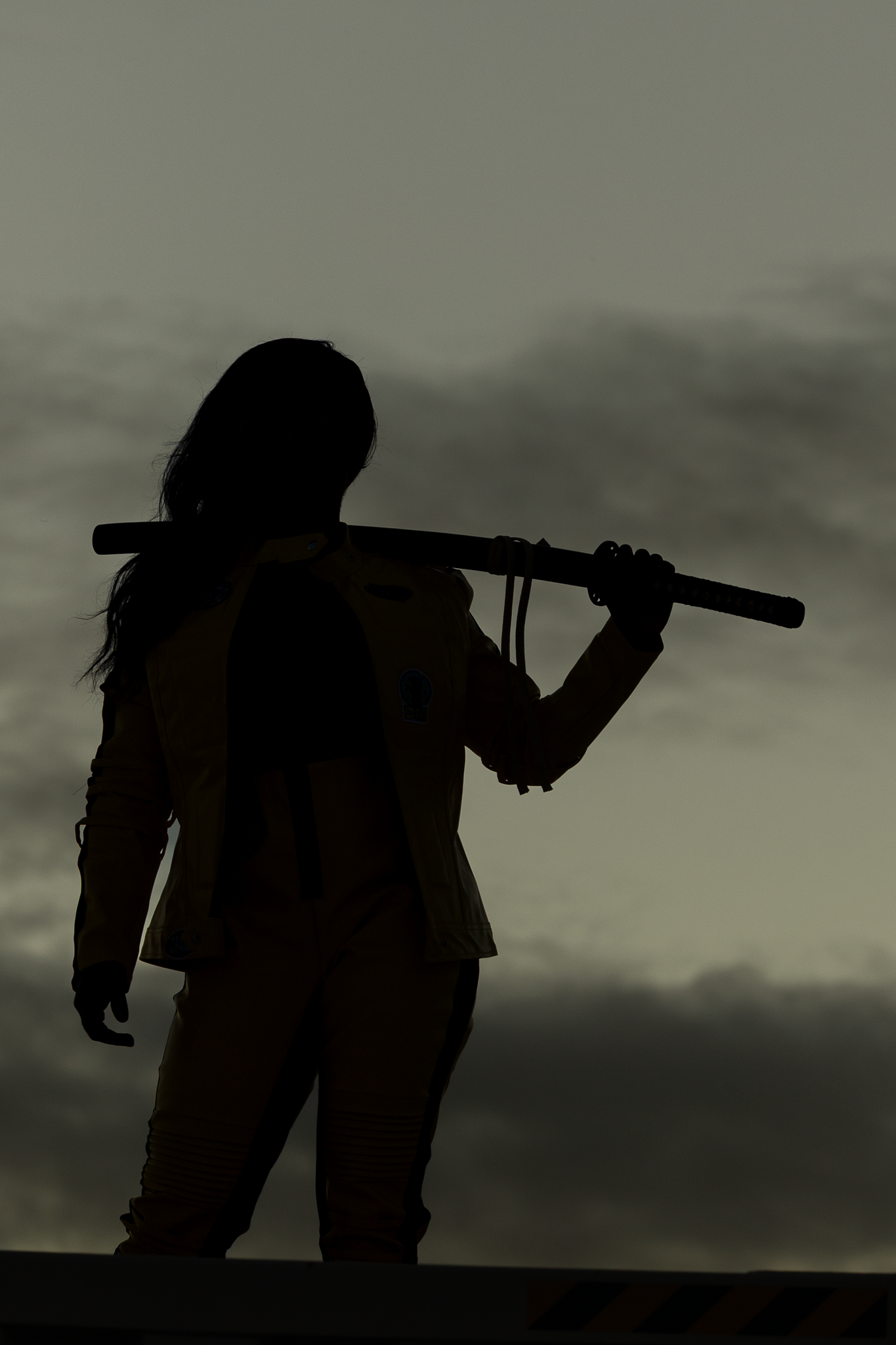Silhouette of a woman holding a baseball bat over her shoulder against a dramatic cloudy sky.