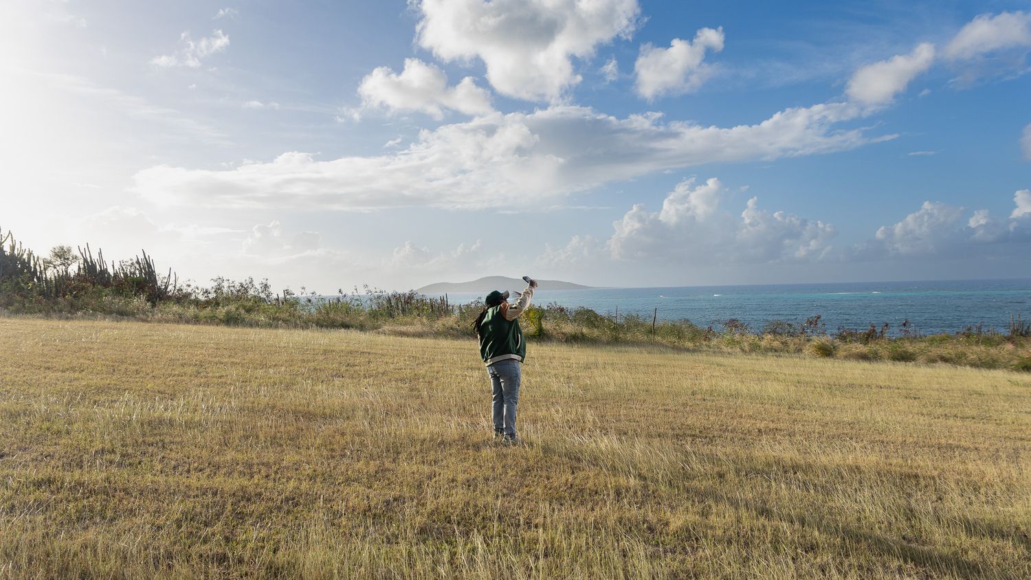 Rolling green hills and grasslands stretch towards the horizon under a bright blue sky with puffy white clouds.