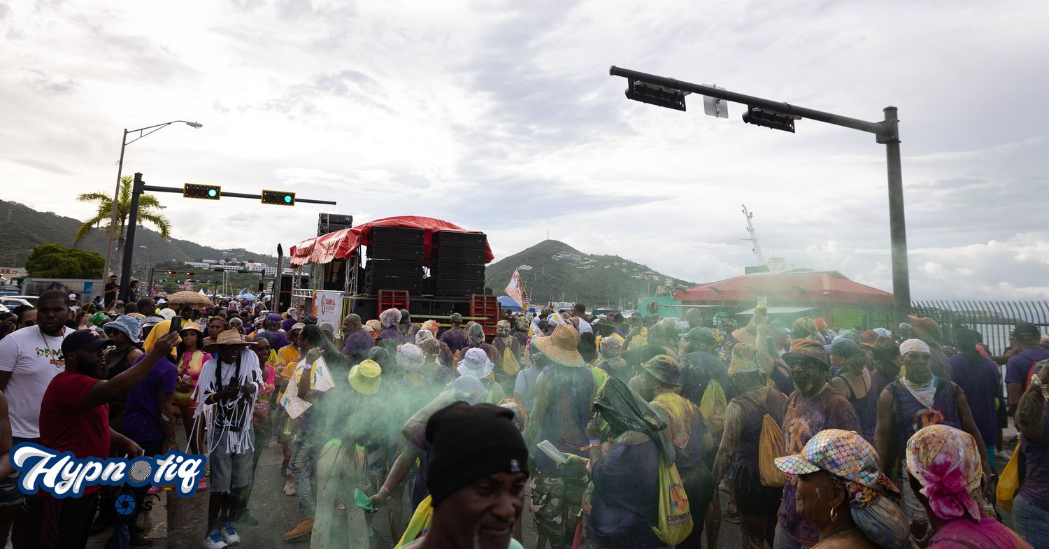 Panoramic view of outdoor festival crowd against mountain landscape.