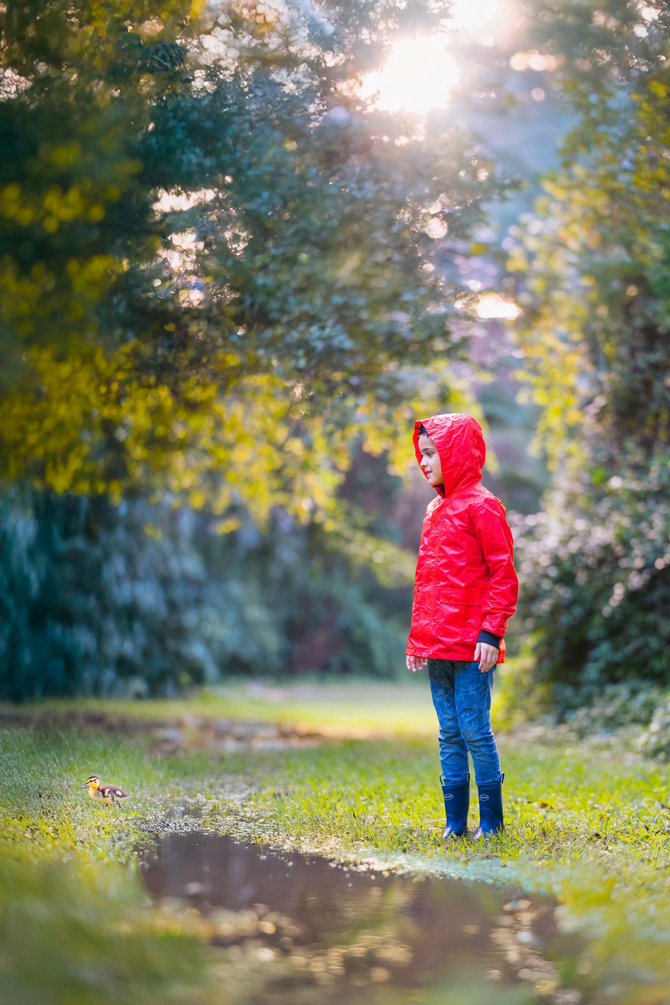 Child in red raincoat and blue jeans standing in a puddle in a lush green park during autumn.