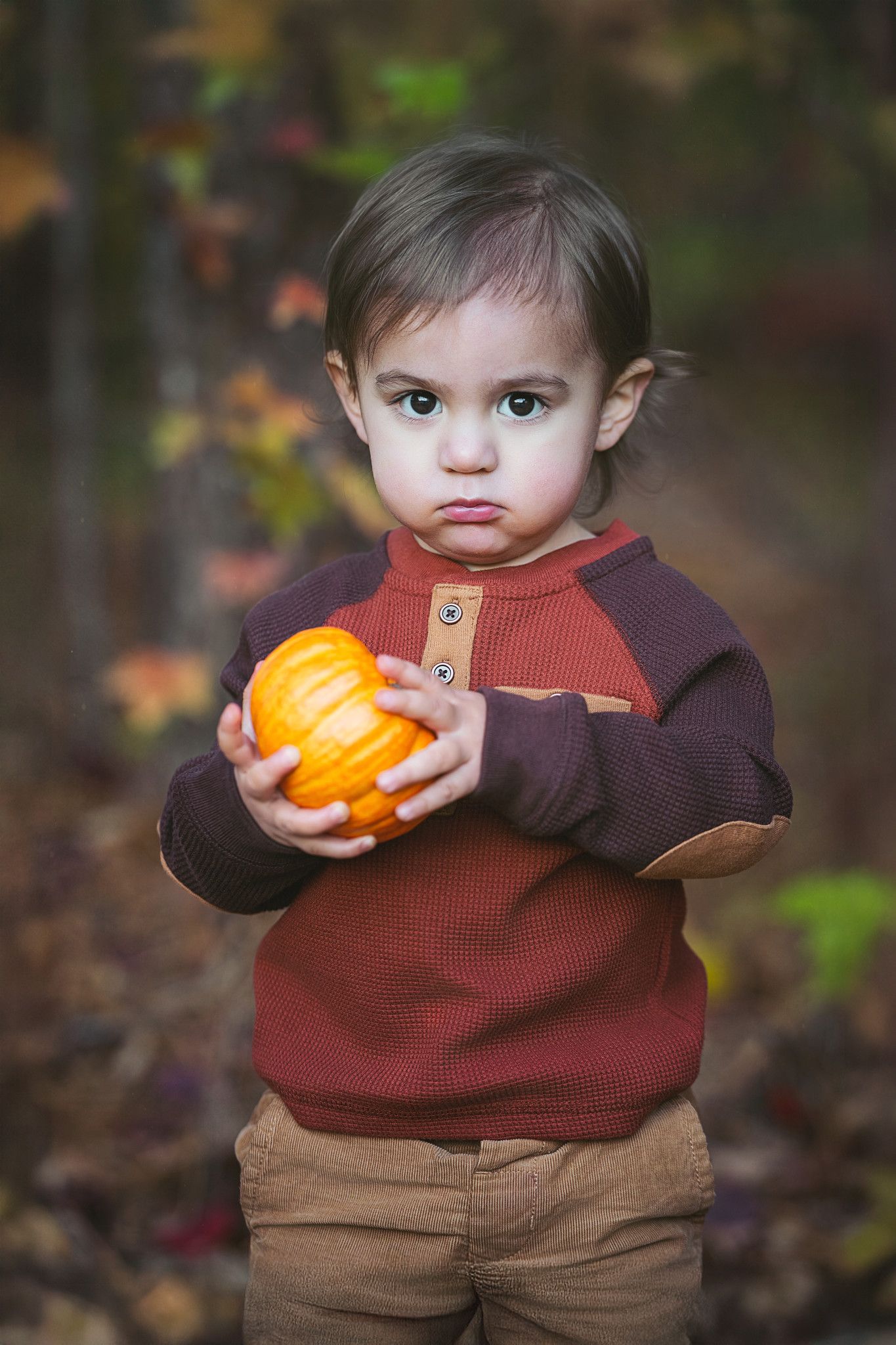 Small child in brown sweater and khaki pants holds bright orange pumpkin while standing in autumn forest setting.