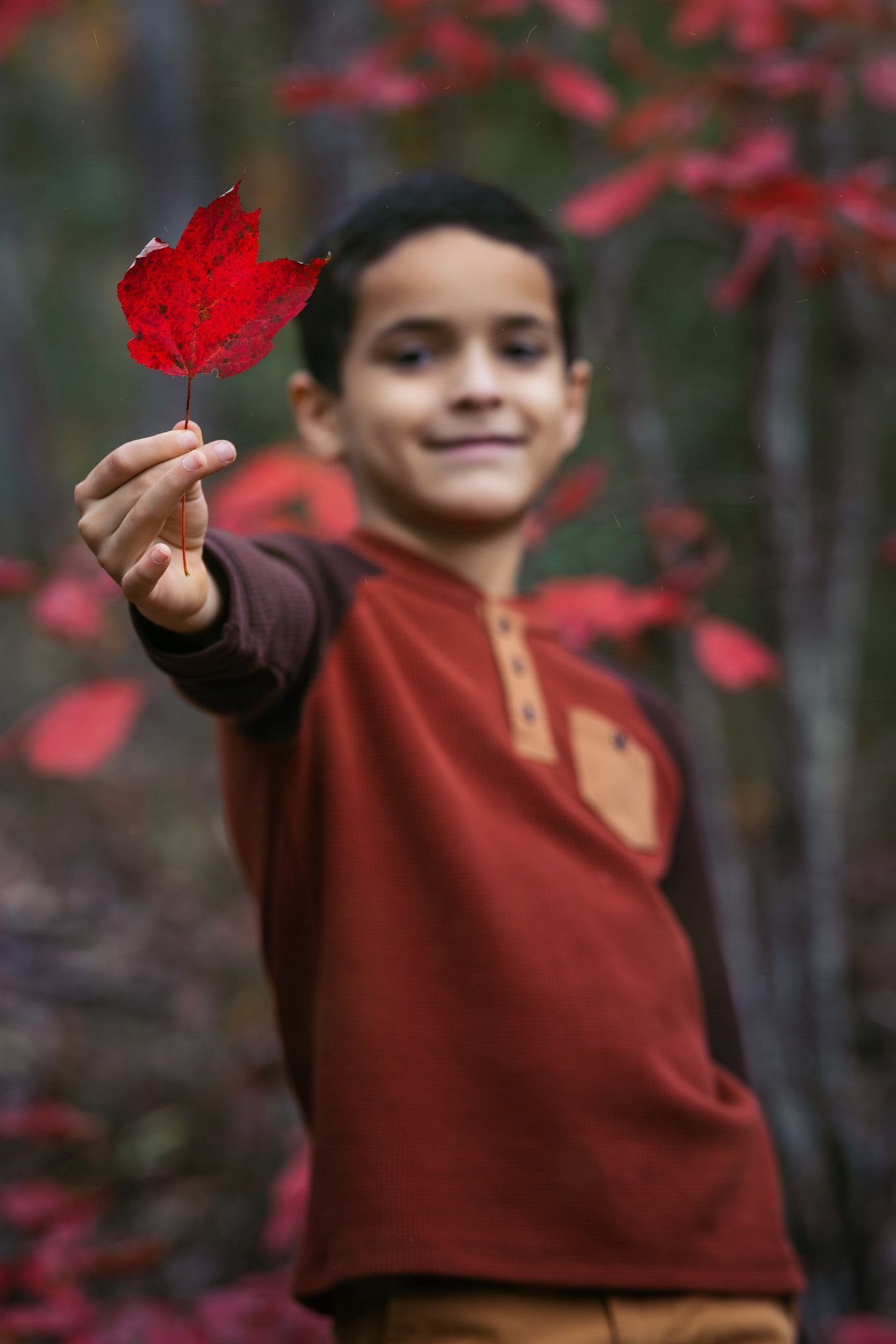 A young boy smiling in autumn forest, holding a vibrant red maple leaf toward the camera.
