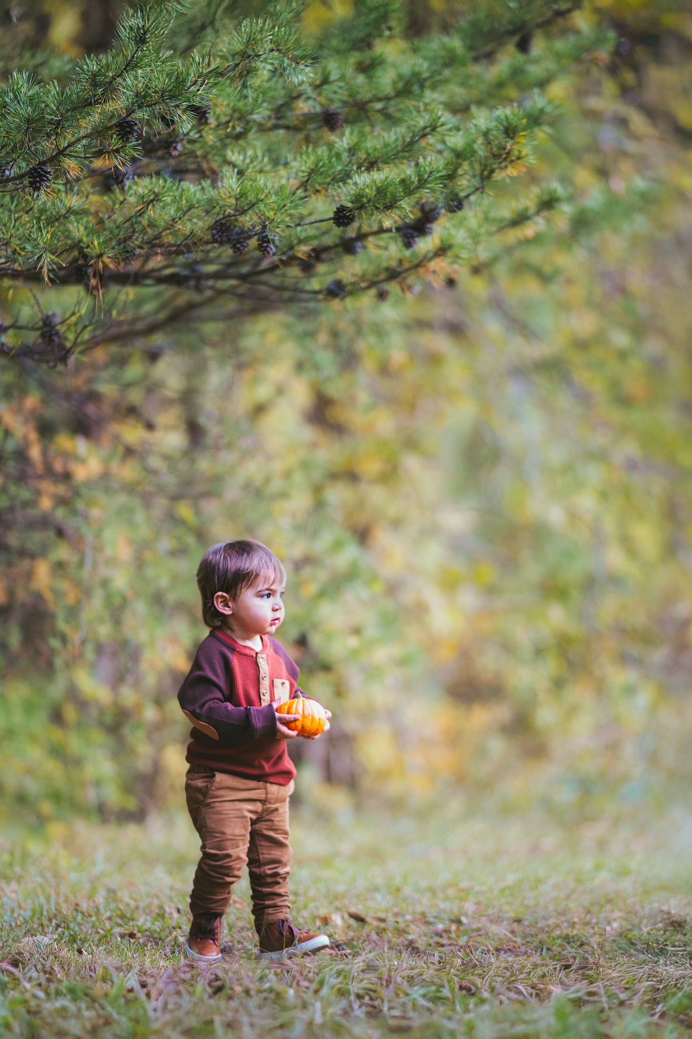 Toddler in brown outfit standing among fallen leaves in autumn forest.