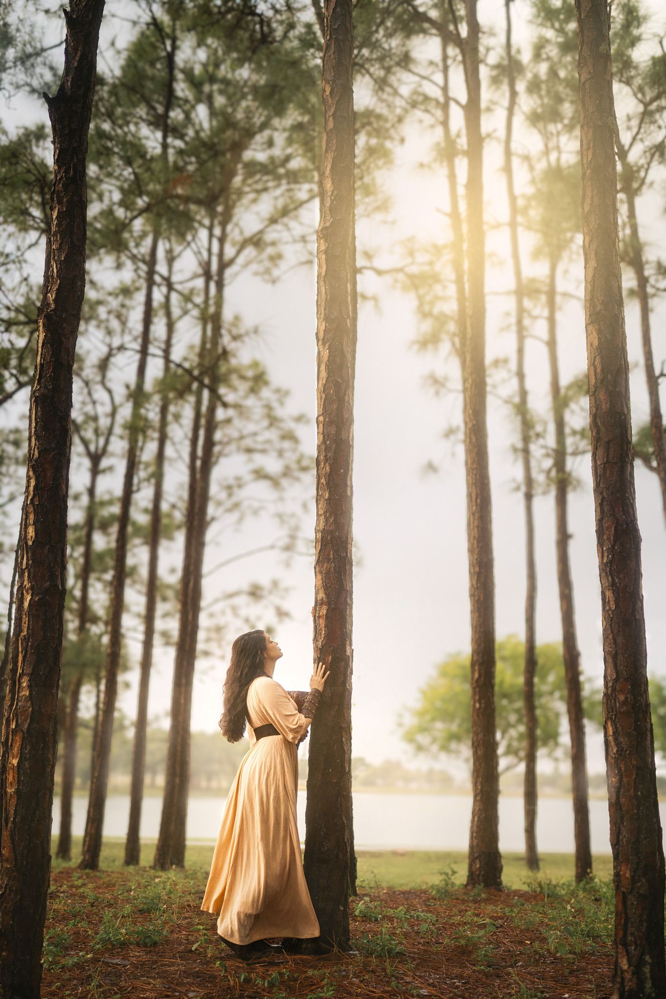 Woman in golden dress touching tall pine trees in a sunlit forest with a lake visible in the background.