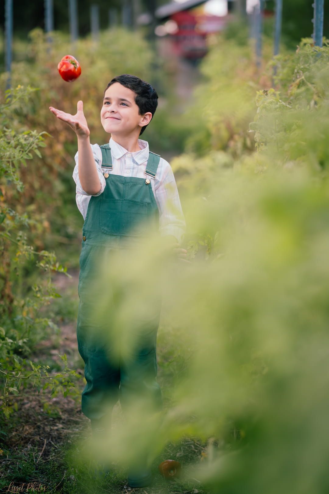 Child in green overalls tosses a red apple in an orchard.