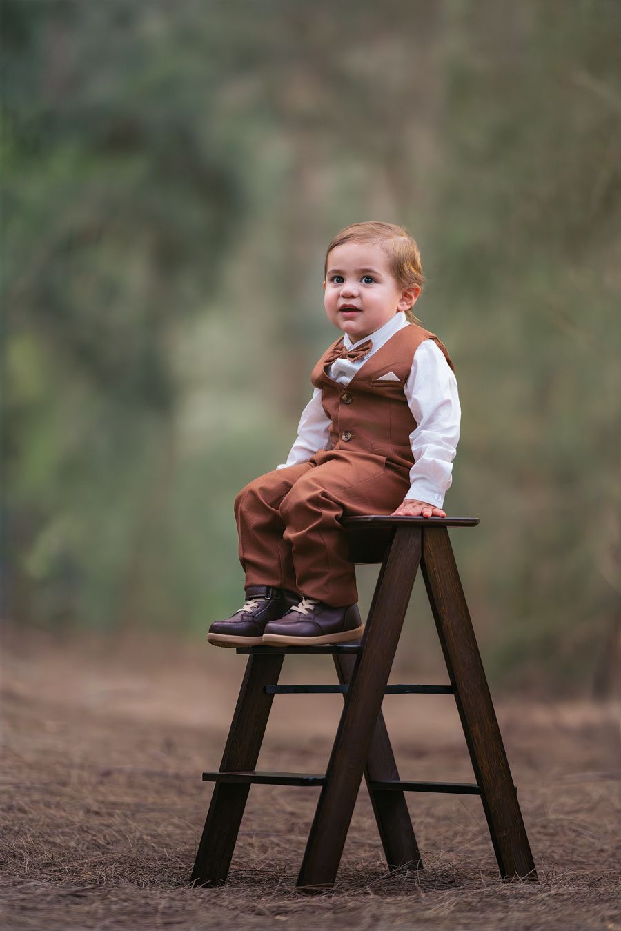 Adorable toddler boy in brown vest suit and bow tie sitting on wooden stool outdoors in forest setting.