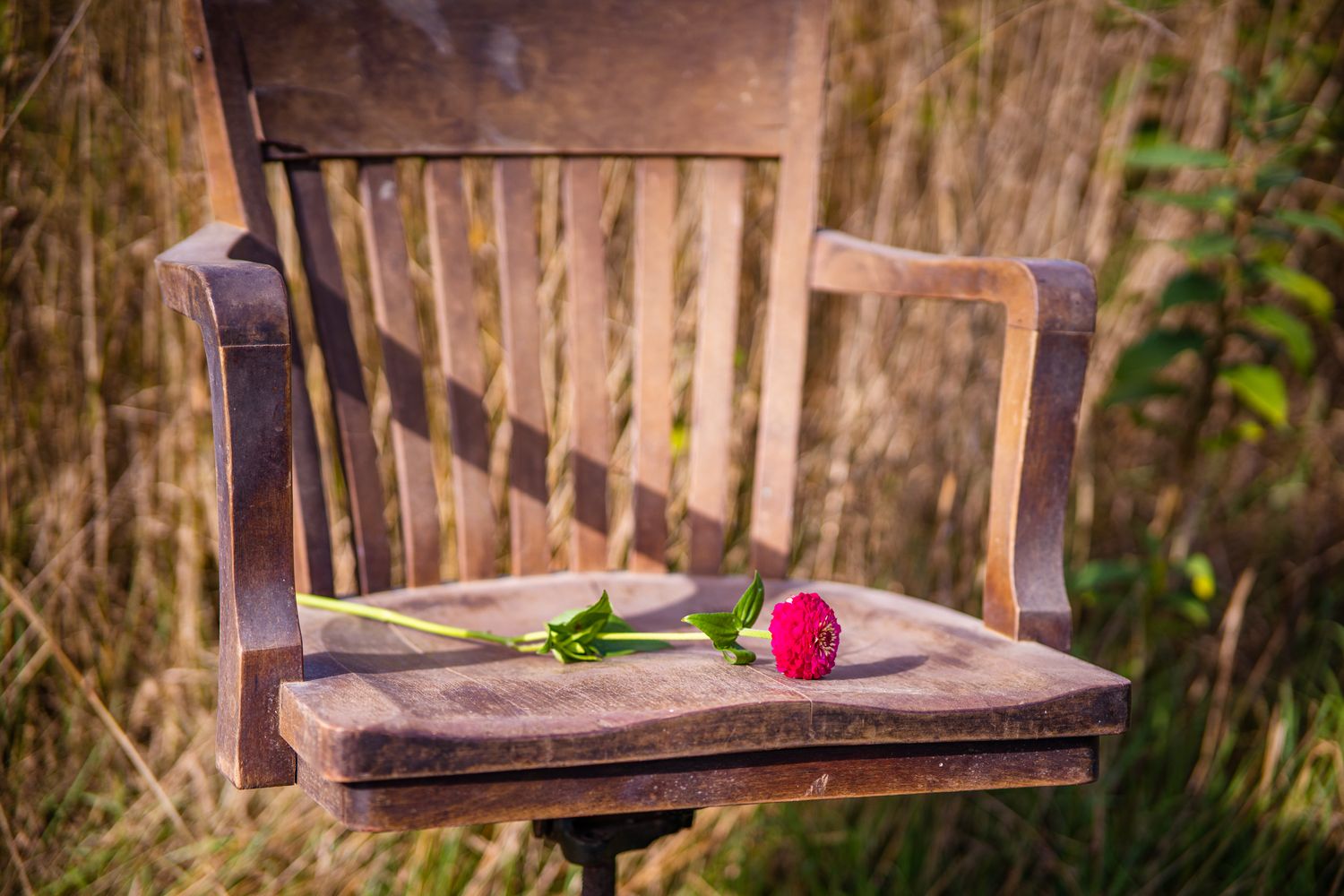 A single red rose lies on an empty wooden chair in a garden setting with soft natural lighting.