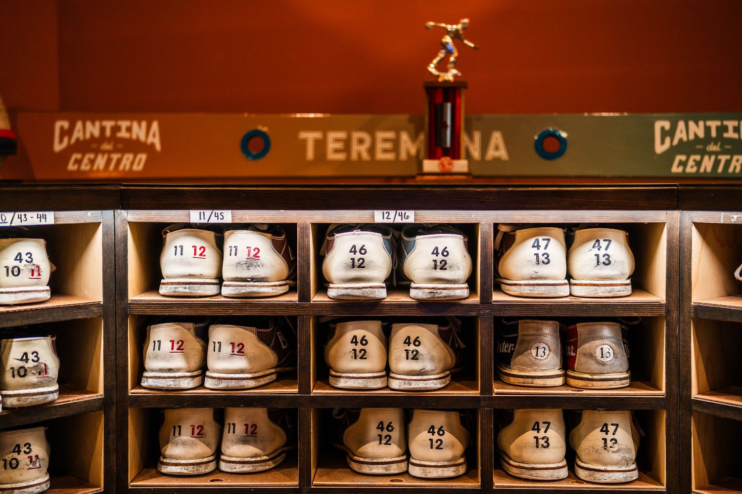 Row of white baseball caps displayed on wooden shelves in a retail setting.