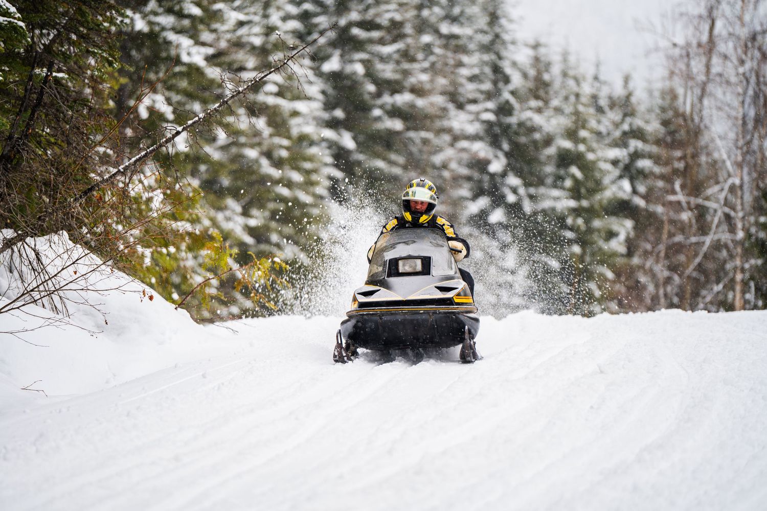 A black SUV drives through a snowy winter forest road with snow-covered evergreen trees lining the path.