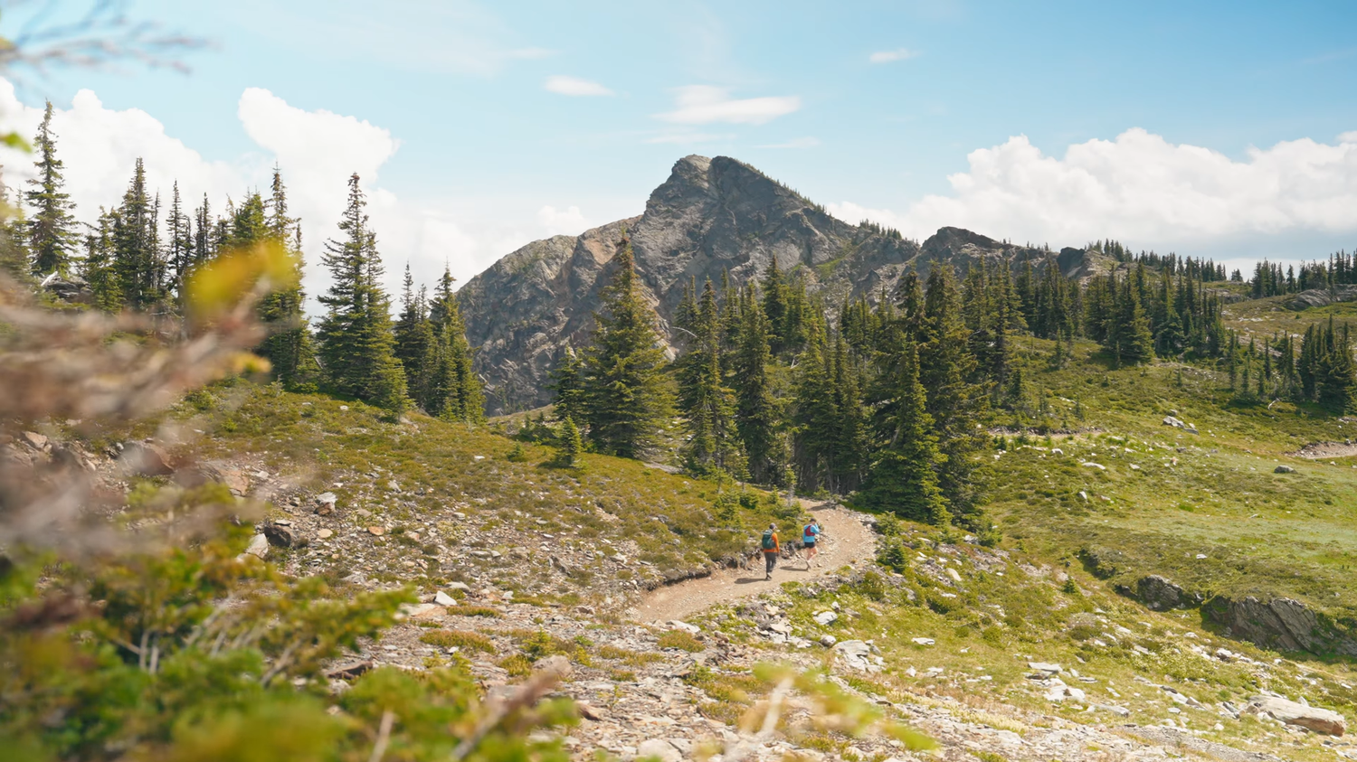 A scenic mountain landscape with snow-capped peaks, evergreen forests, and alpine meadows under a bright blue sky.