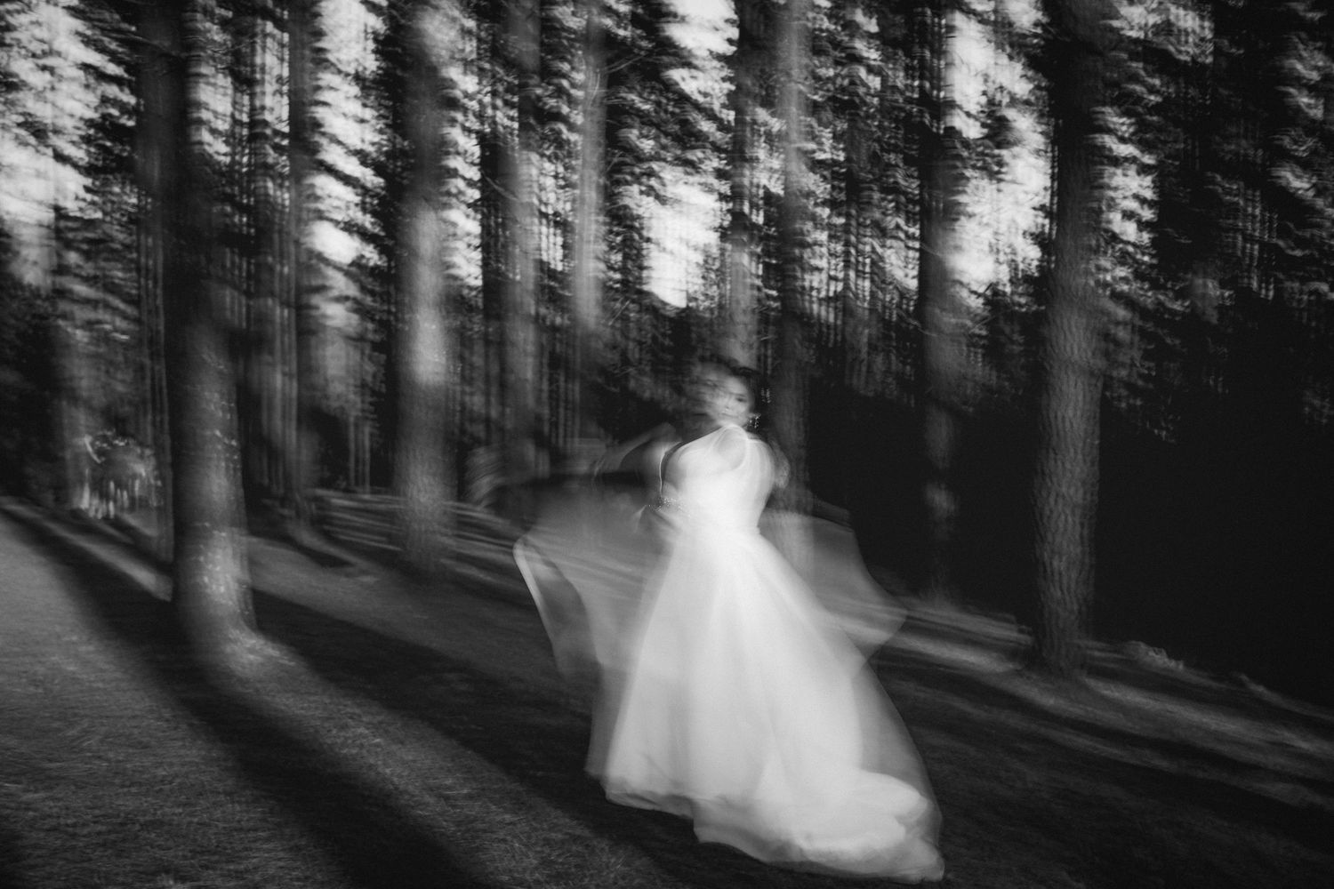 Fotografía artistica en blanco y negro de novia en bosque.