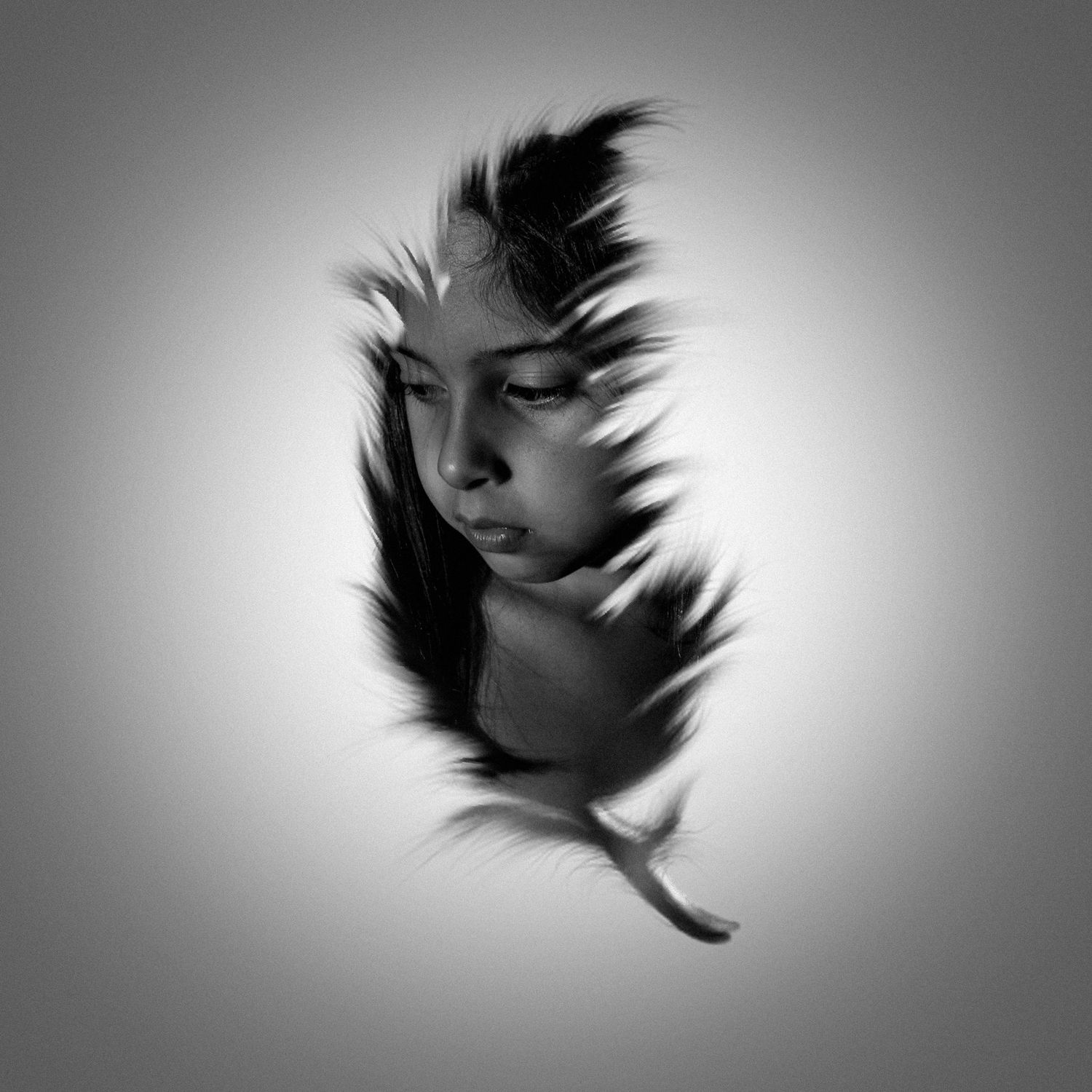 Fotografía creativa de pluma en blanco y negro. Imagen conceptual y artística realizada en estudio.