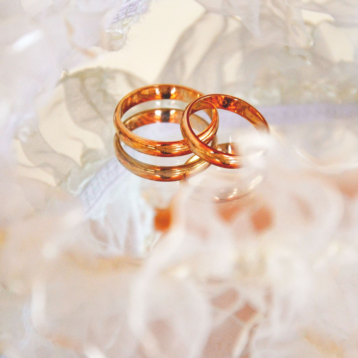 Fotografía de anillos de boda sobre fondo claro. Imagen profesional de detalles nupciales en Oviedo.