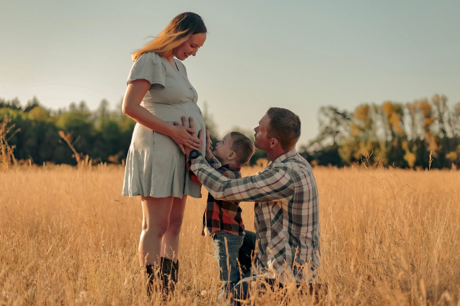 A young boy kissing his mother's pregnant belly while the father caresses her belly in a wheat field on a warm, sunny day.