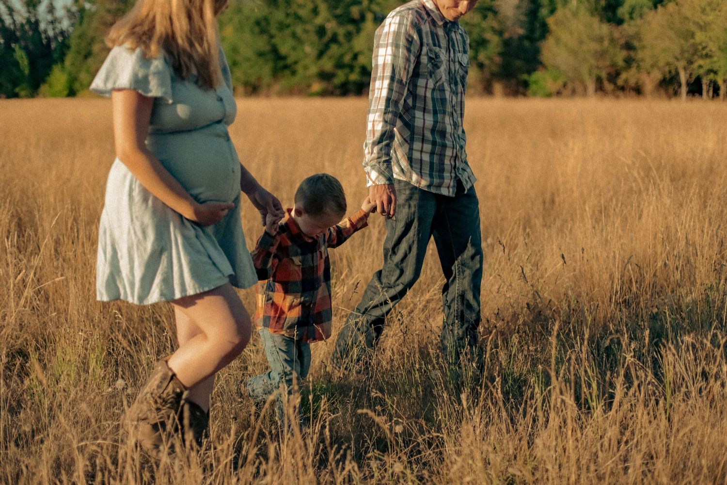 A mother, father and son holding hands walking together in a wheat field on a warm, sunny day.