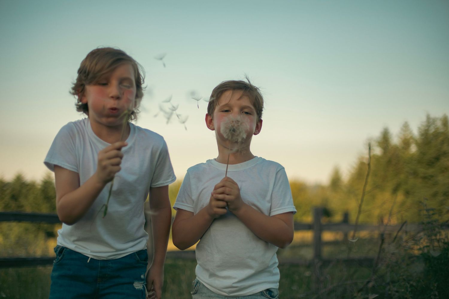 Two boys, brothers, in white t-shirts blowing dandelions on a summer day with a blue sky and green trees in the background.