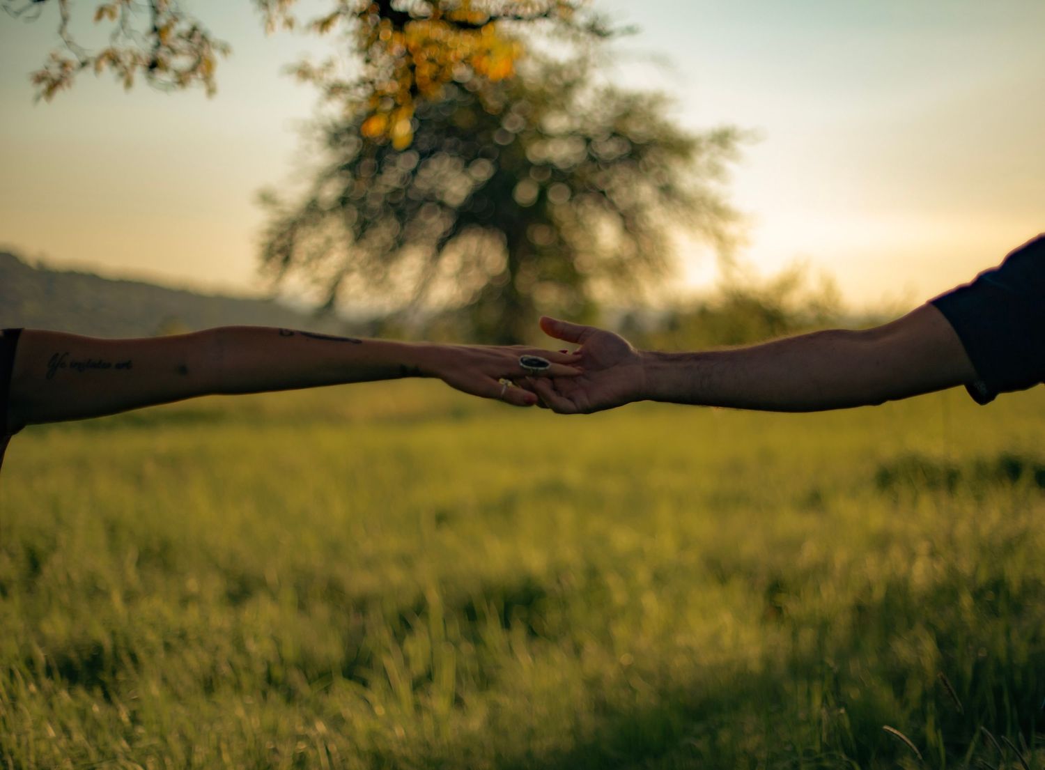 A man and woman holding hands in a field at sunset