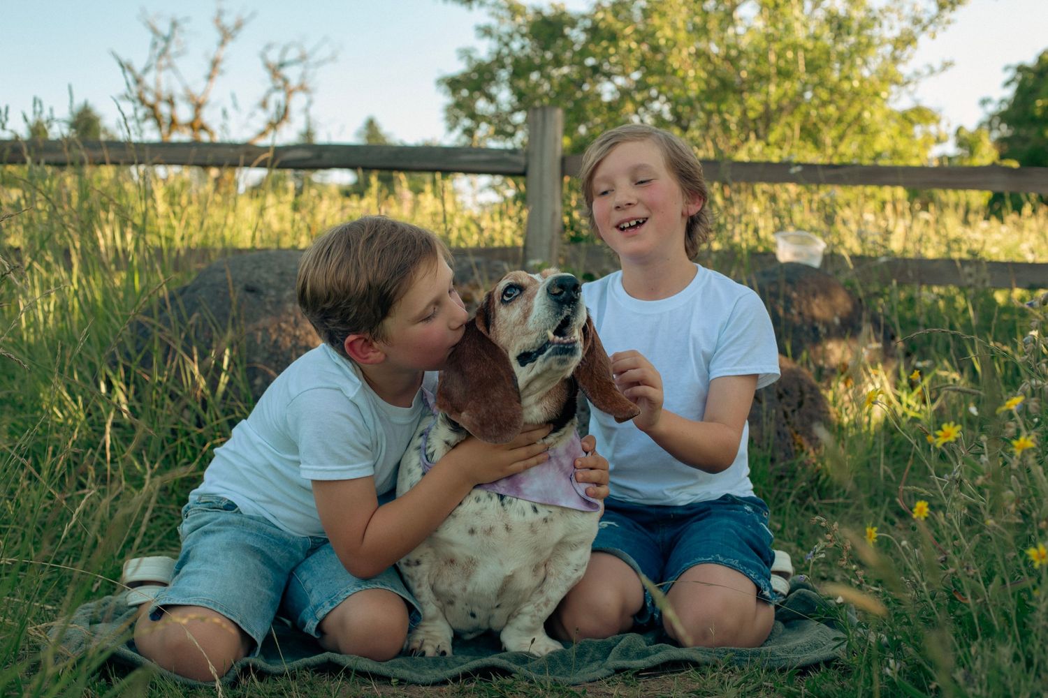 Two young boys playing with a dog with floppy ears sitting on green grass on a sunny summer day.