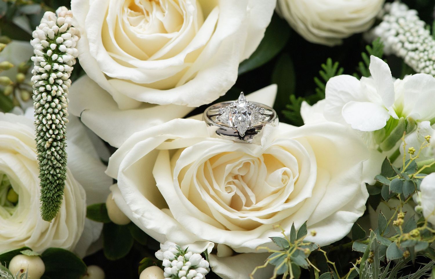 A row of pristine white roses with delicate petals arranged against a dark green background.