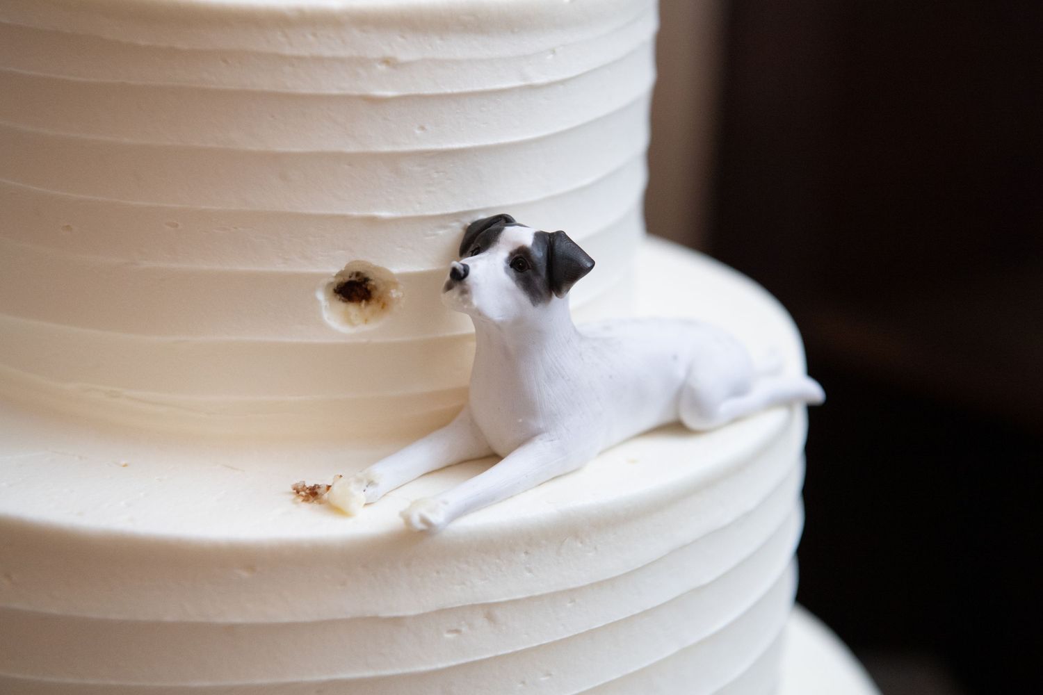Closeup view of a white ceramic plate or bowl rim against a dark background.
