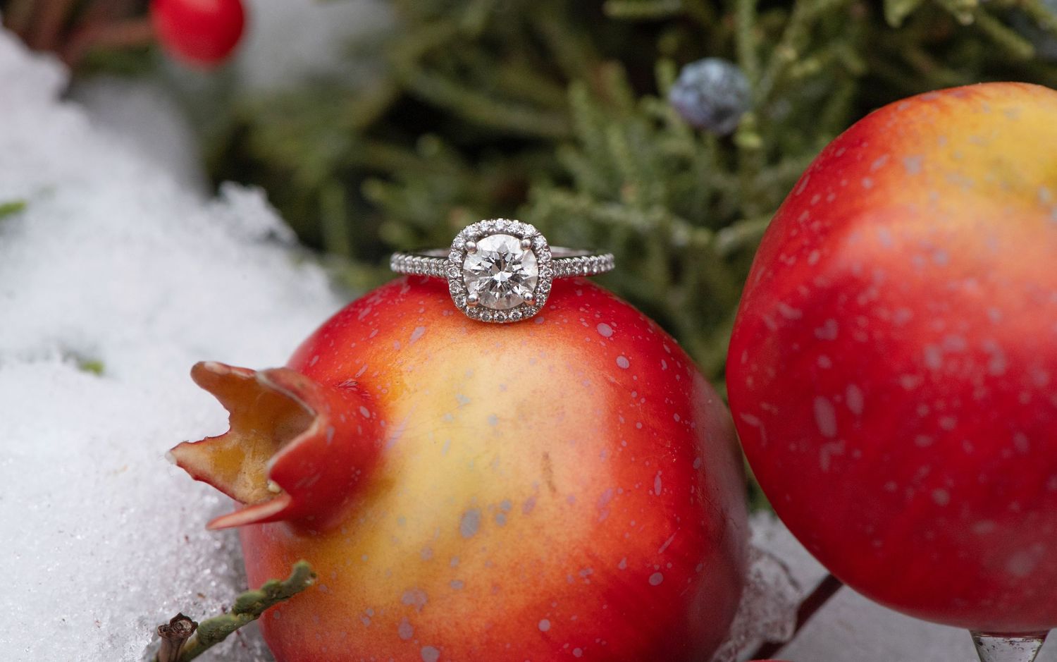 Fresh red and yellow apples with water droplets resting on snowy ground surrounded by evergreen branches.