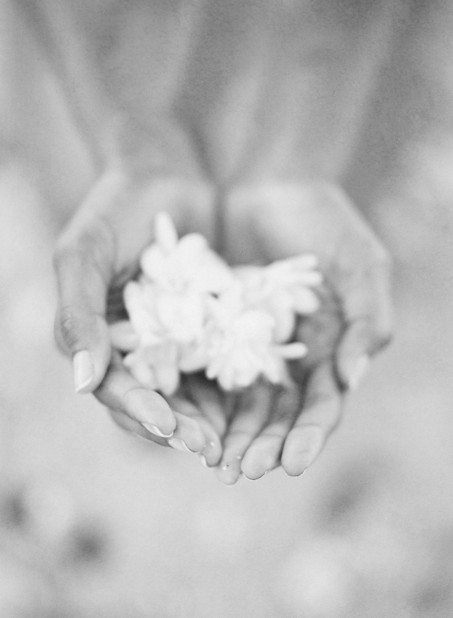 Delicate white flowers rest in cupped hands in an ethereal black and white photograph.