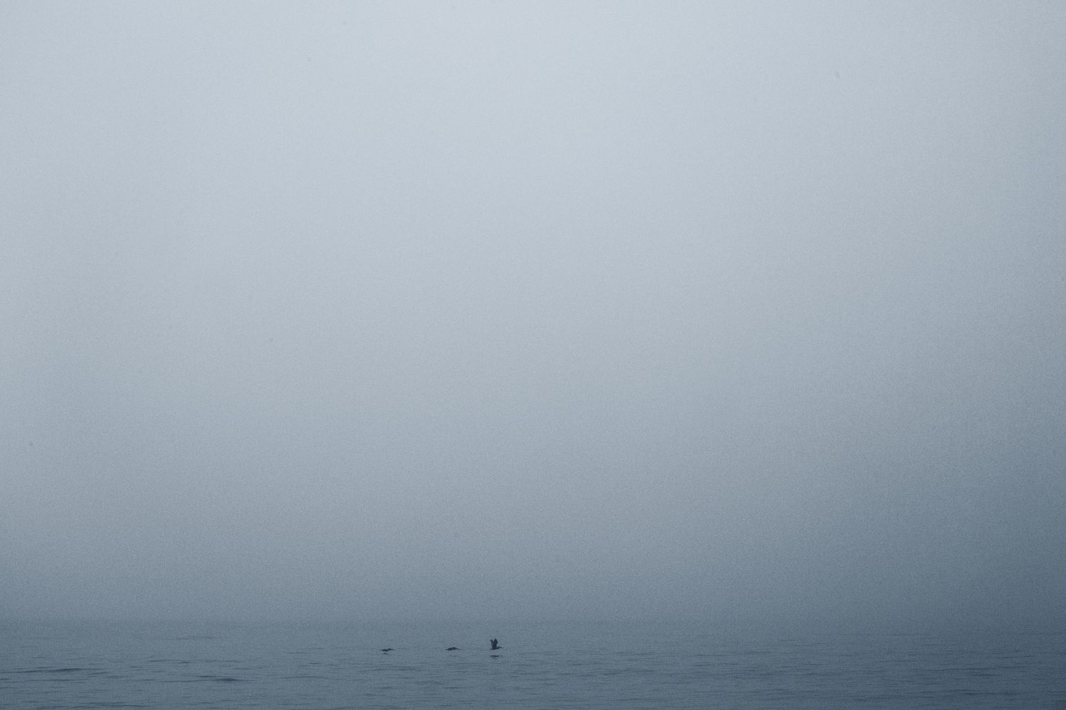 Minimalist seascape with misty gray horizon over calm waters creating a moody atmospheric scene.