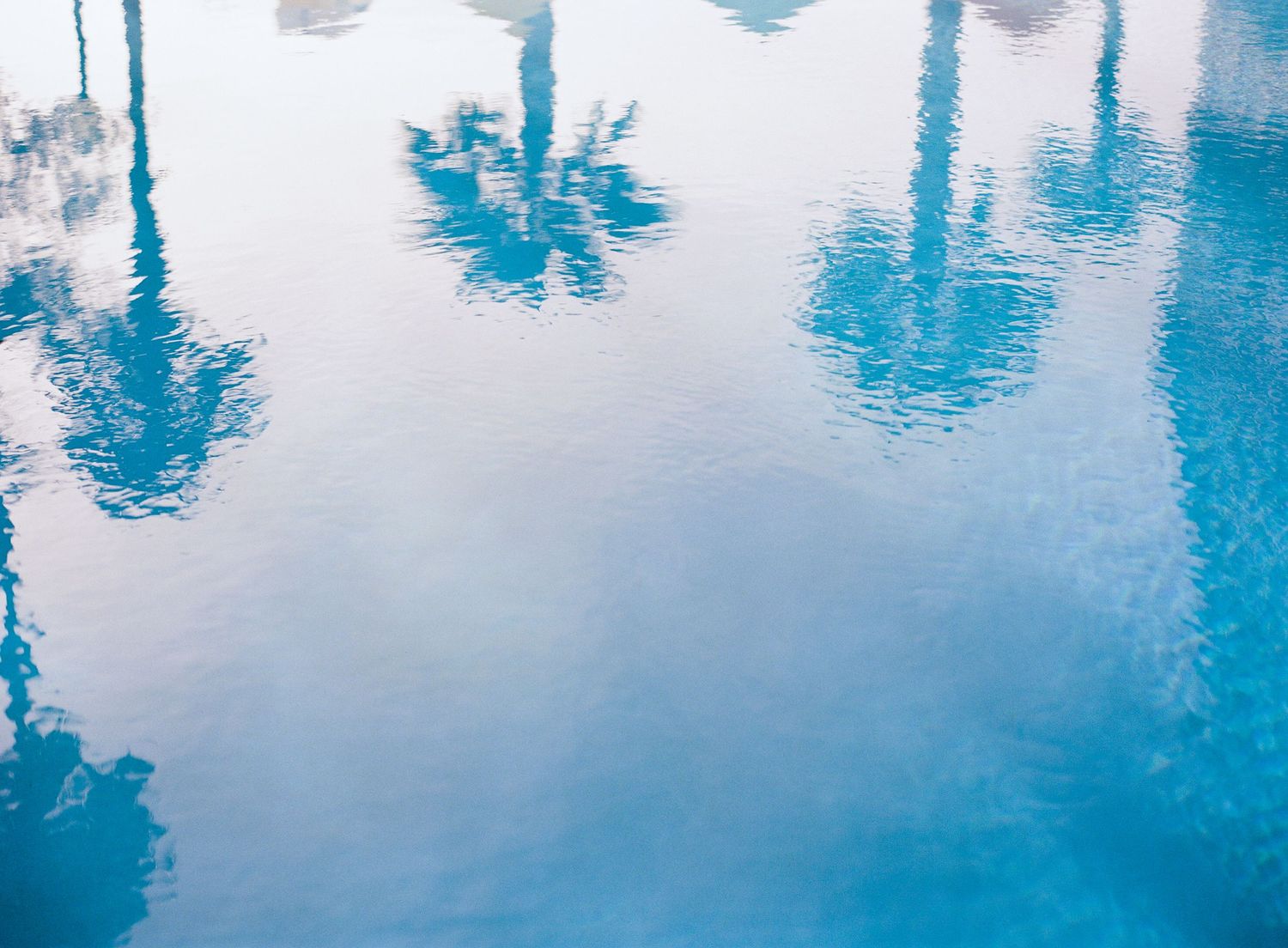 Blue pool water reflecting palm trees and sky, creating a serene rippling surface pattern.