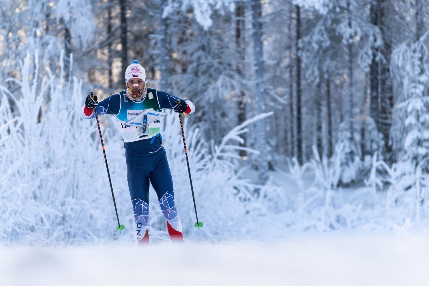 Cross-country skiers glide through a snow-covered forest trail during winter competition.