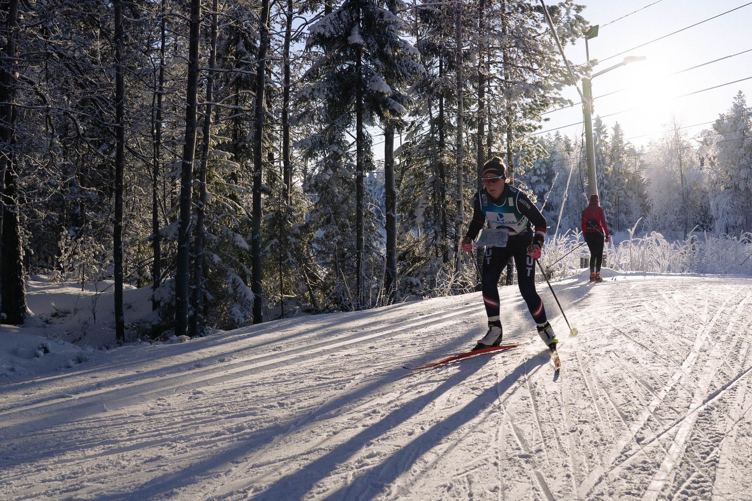 Cross-country skiers glide along snowy forest trails on a bright winter day with long shadows cast across the snow.