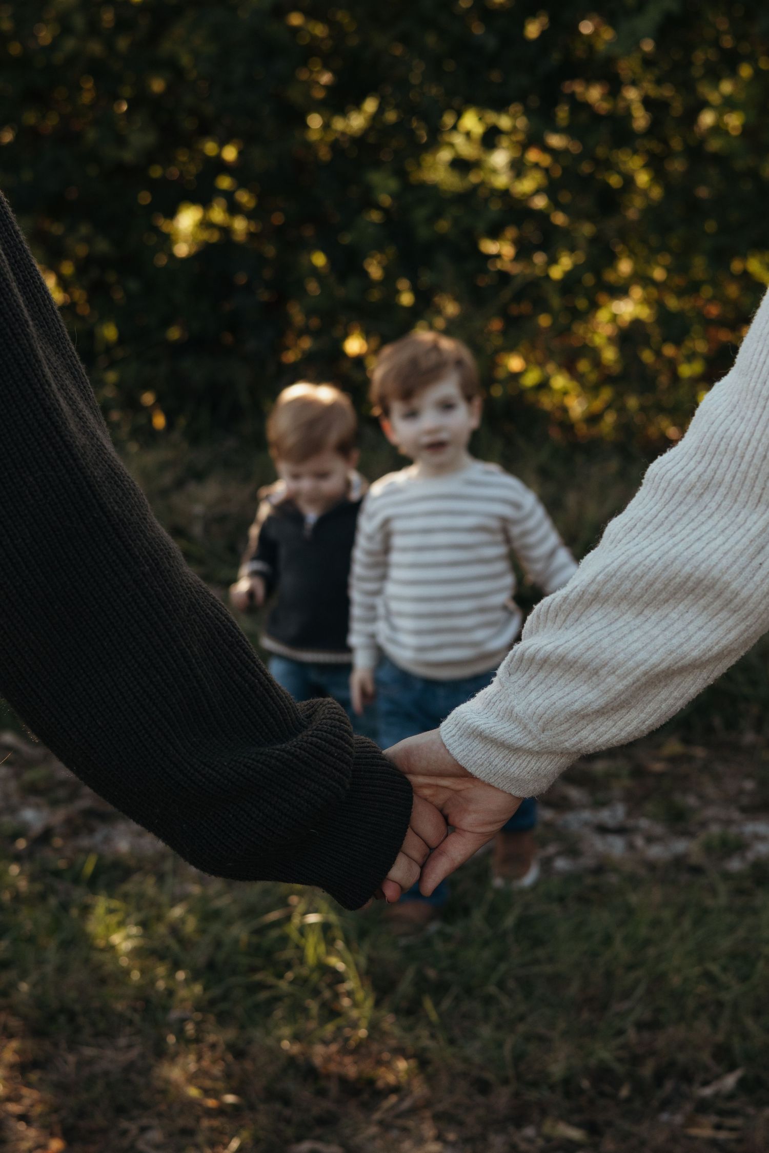 Two adults in knit sweaters holding hands in the foreground while two young toddlers stand on grass in a sunlit park behind them.