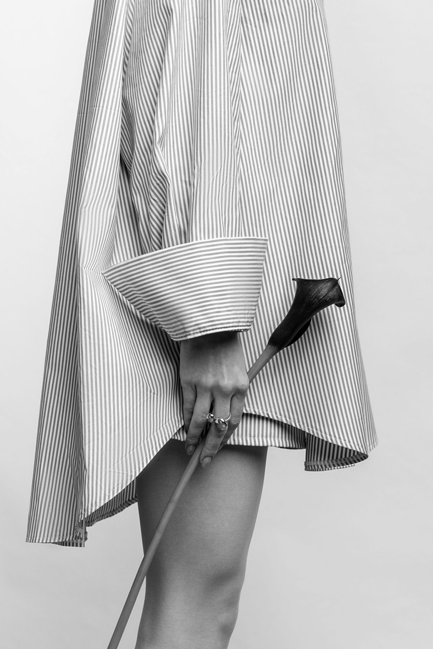 Monochrome fashion close-up of a model in an oversized striped shirt holding a calla lily against her bare leg.