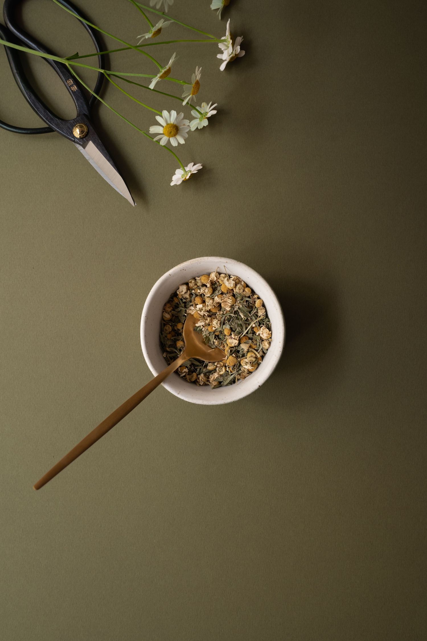 Overhead view of dried chamomile in a ceramic bowl with a gold spoon, fresh daisies and black scissors on olive green.
