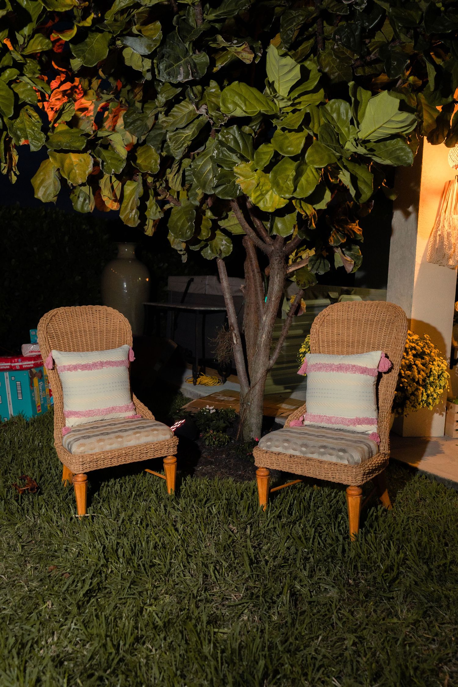 Outdoor patio chairs with cushions arranged in a row on grass under a tree at dusk.