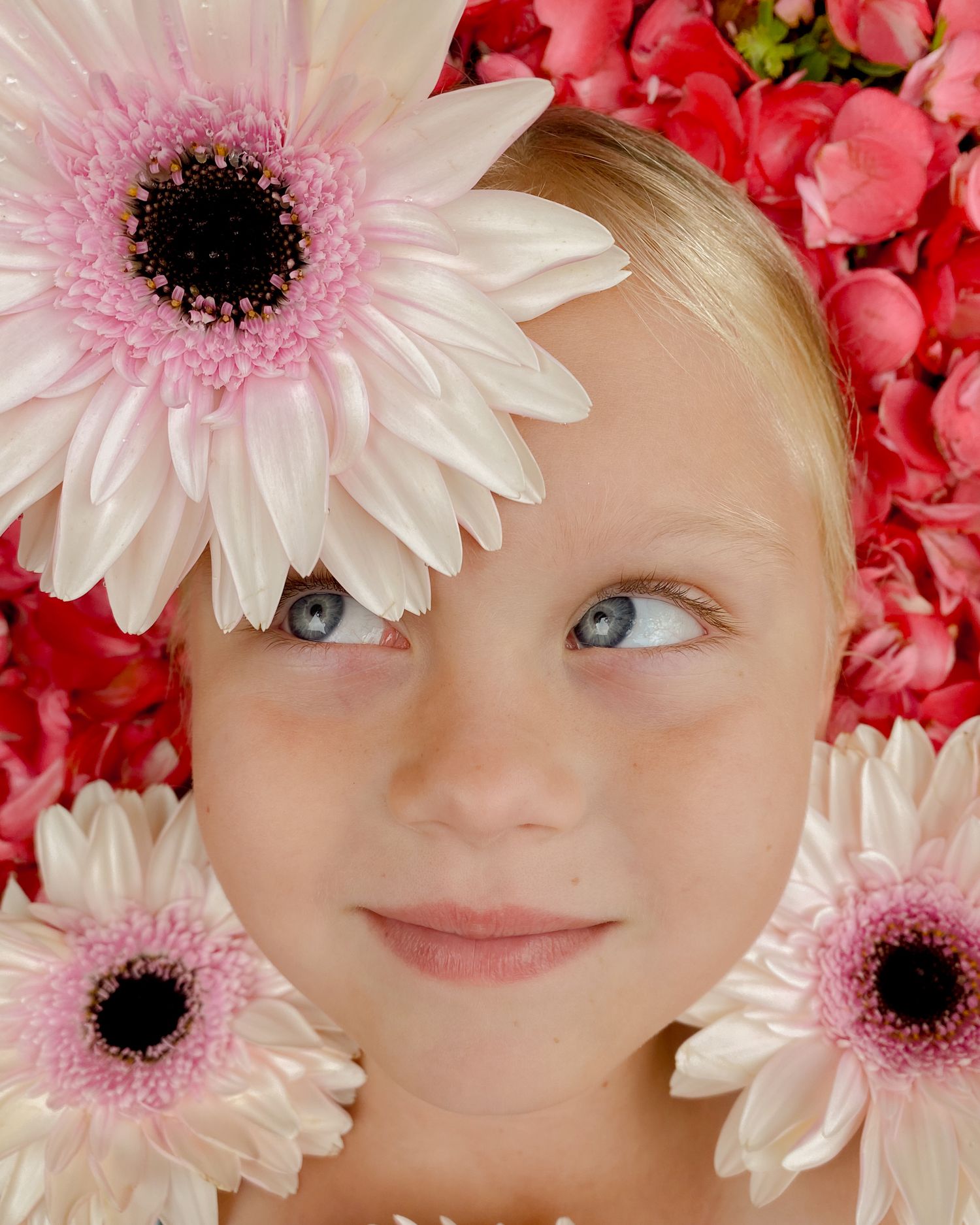 Portrait surrounded by pink gerbera daisies and red flowers creating a floral frame.
