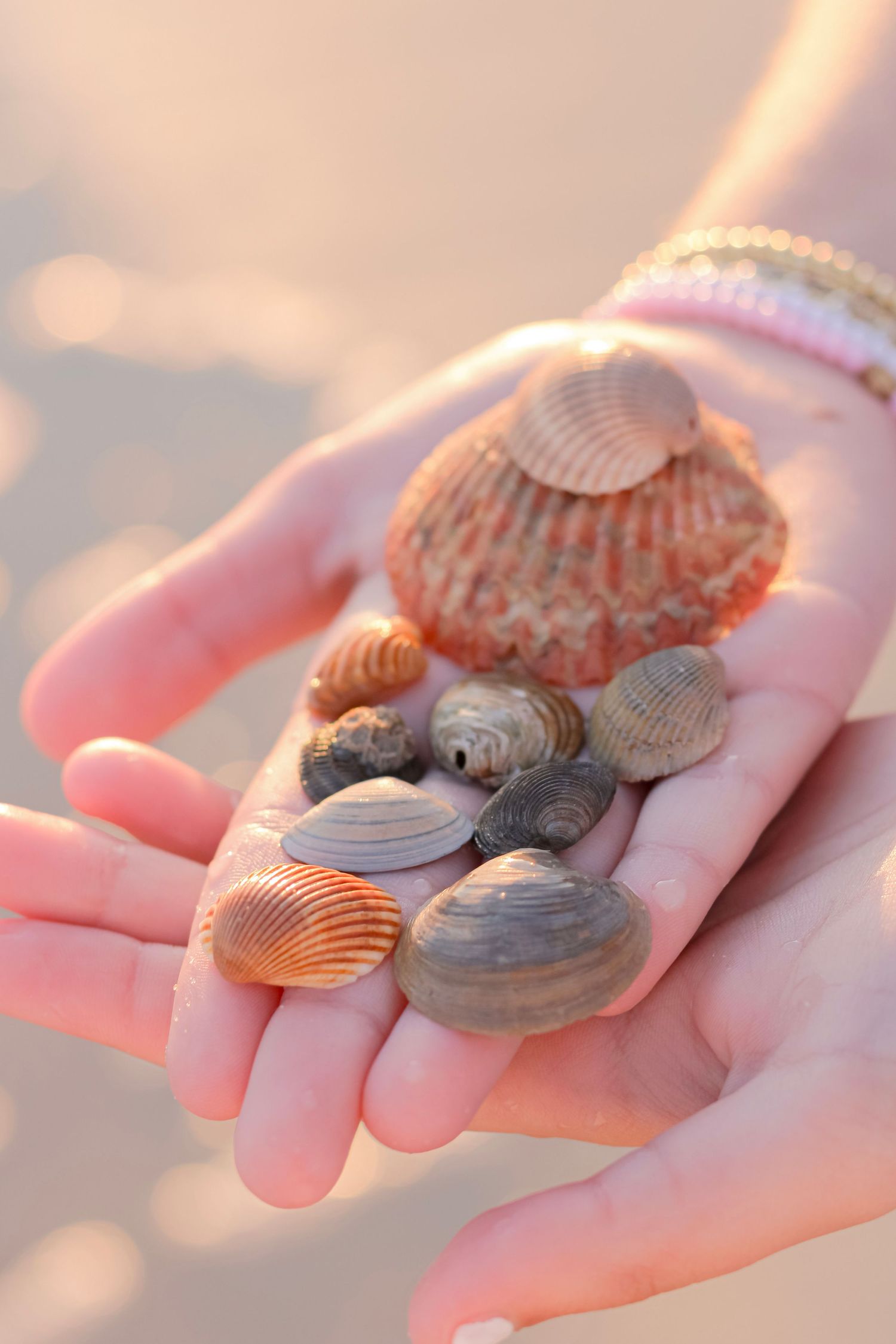 A handful of colorful seashells and clam shells being held in open palms against a soft sunset background.