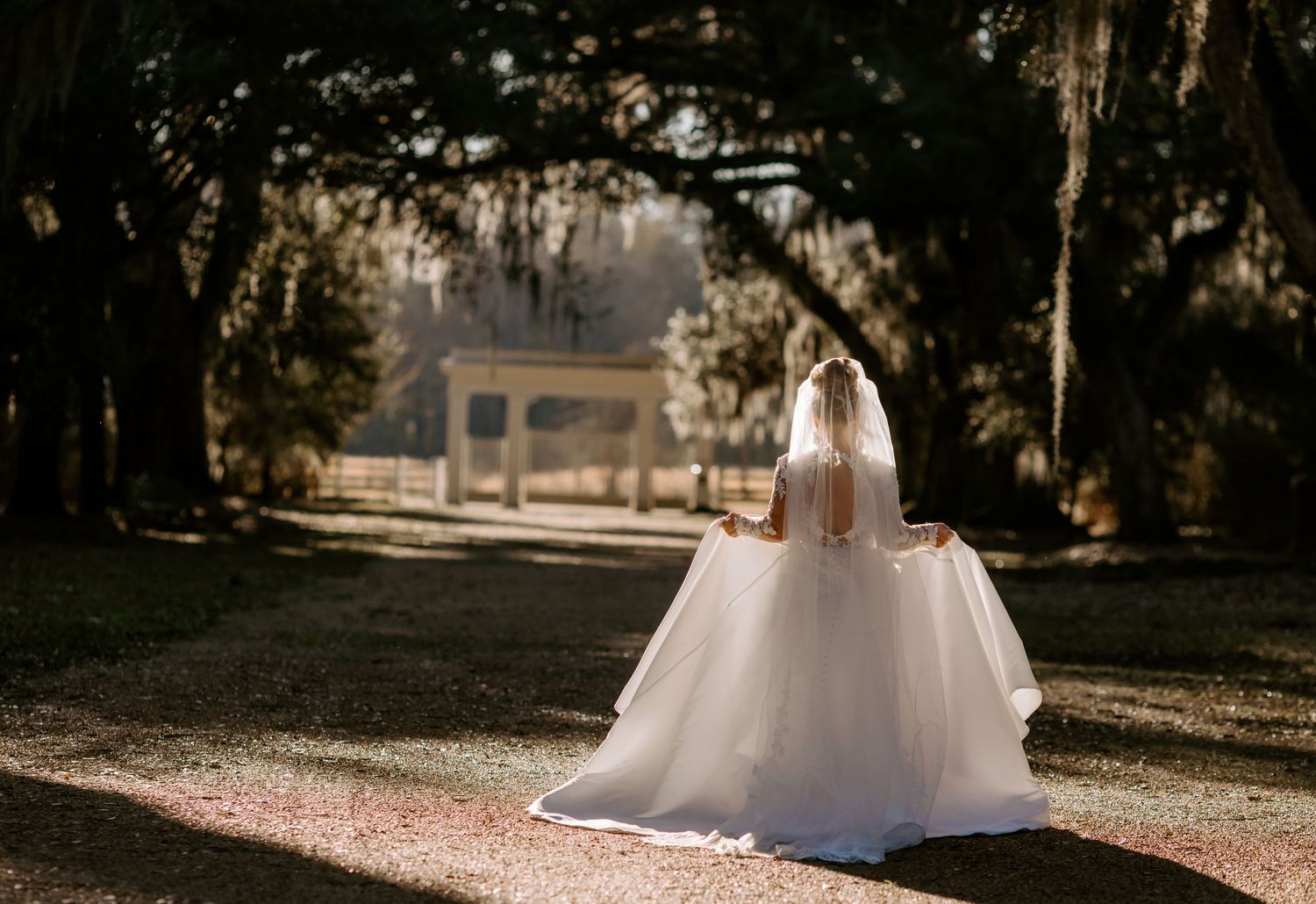 A bride in a flowing white wedding dress walks along a sunlit path through trees and dappled shadows.