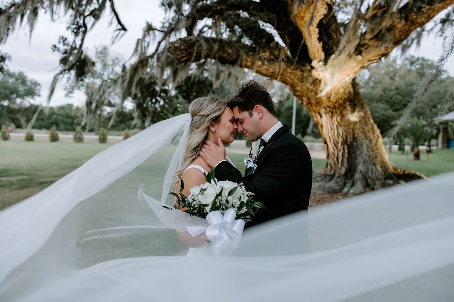 Bride and groom touch foreheads under a mossy oak tree, with a flowing veil and white bouquet, in a romantic outdoor wedding portrait.
