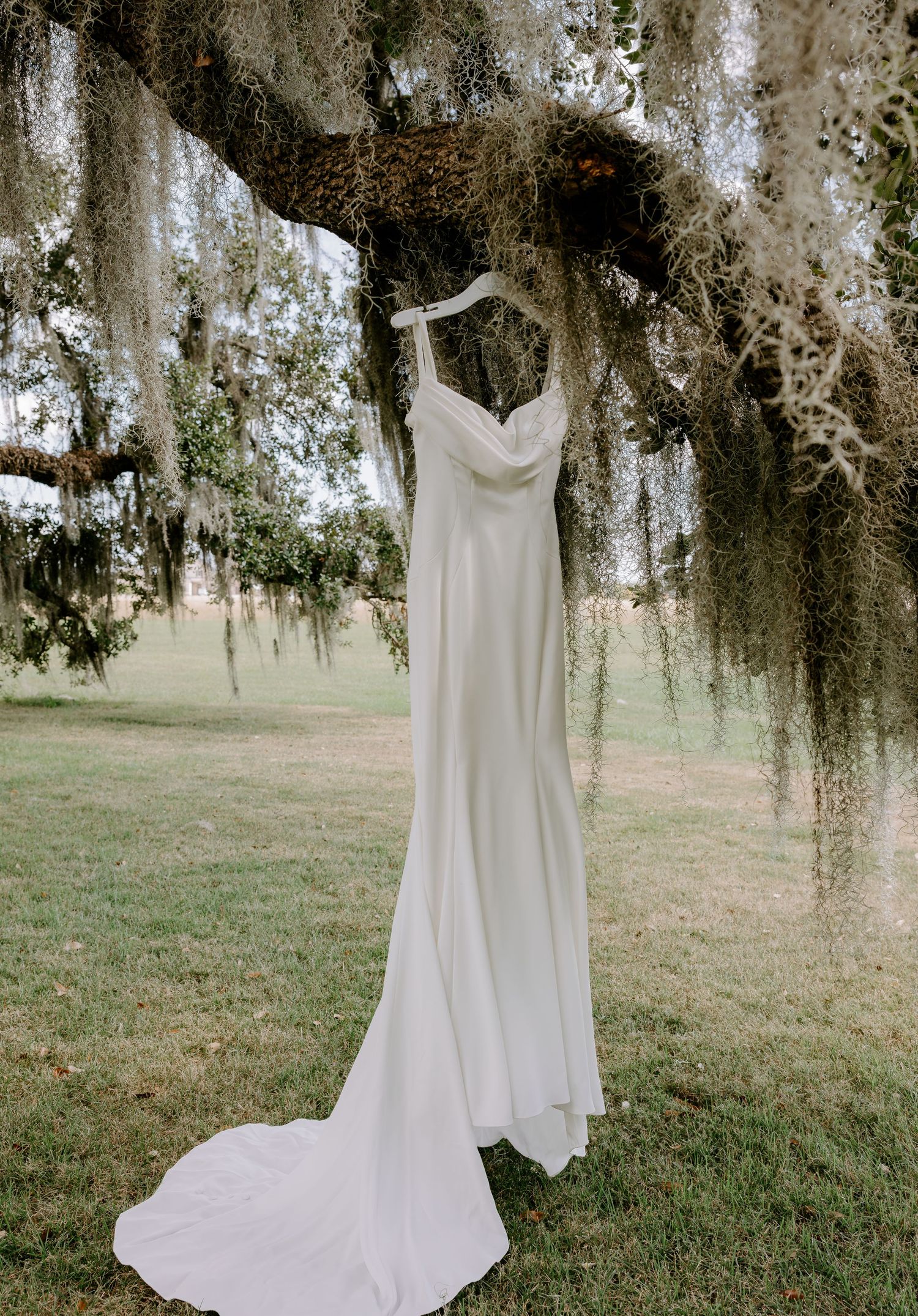 White satin wedding dress with cowl neckline and long train hanging from a live oak branch draped in Spanish moss.