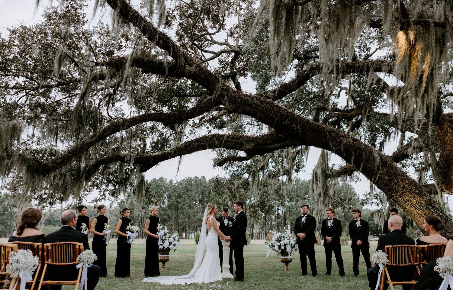 Bride and groom exchange vows under a giant live oak draped in Spanish moss as guests and wedding party look on at an outdoor ceremony.