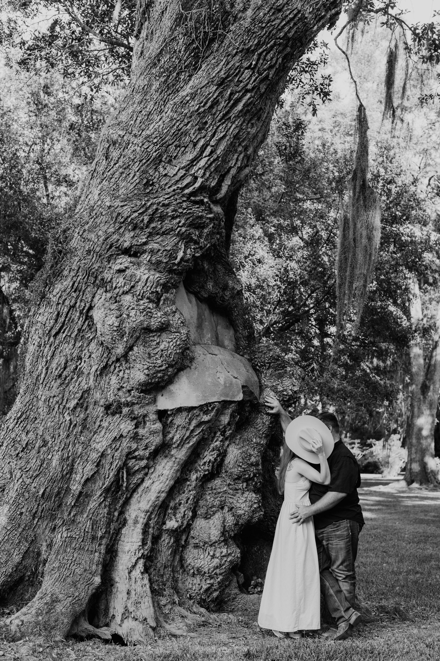 A series of black and white photographs showing a person in a light-colored dress standing next to a massive tree trunk.
