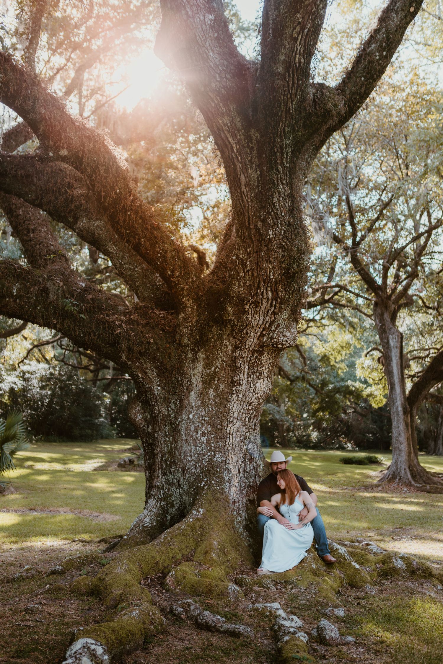 A romantic couple sits beneath a large oak tree in a sunlit park setting during golden hour.