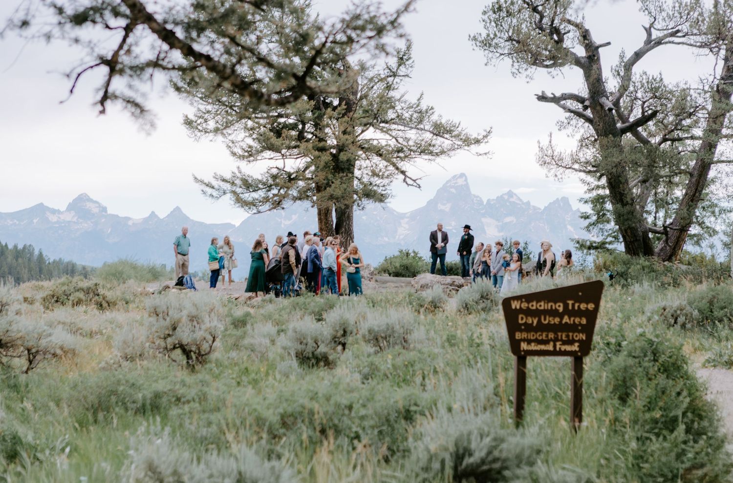 Outdoor wedding ceremony at Grand Teton National Park with guests gathered near a Winiding Tree Day Use Area sign.