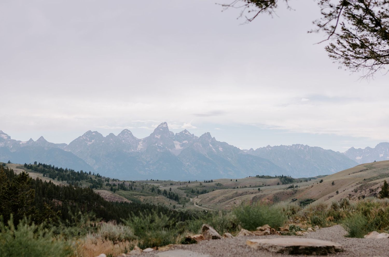 Panoramic view of the Grand Teton mountain range with rolling hills and evergreen forests under an overcast sky.