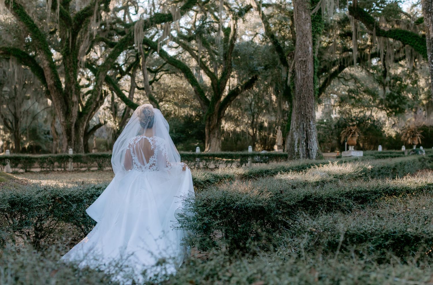 A romantic wedding couple poses in a scenic oak tree grove with Spanish moss hanging from branches.