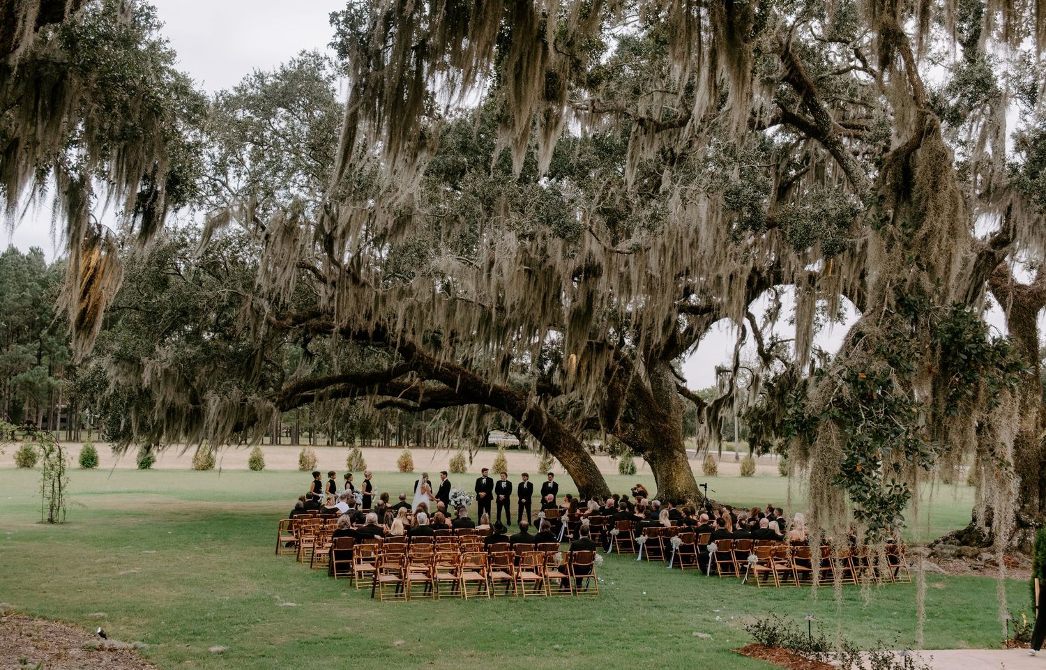 Outdoor wedding ceremony with guests seated in wooden chairs beneath a large live oak draped in Spanish moss on a green lawn.